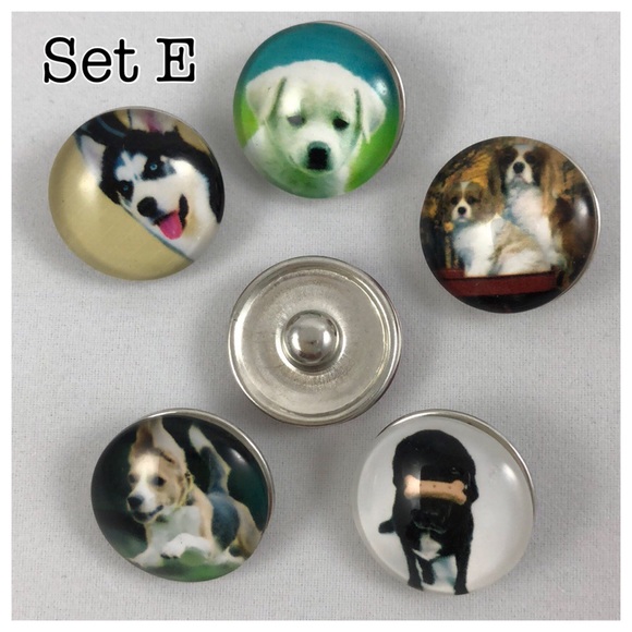 Interchangeable Pup Ginger Snaps - Set E - Picture 2 of 5